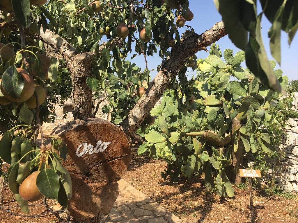 Włoska roślinność