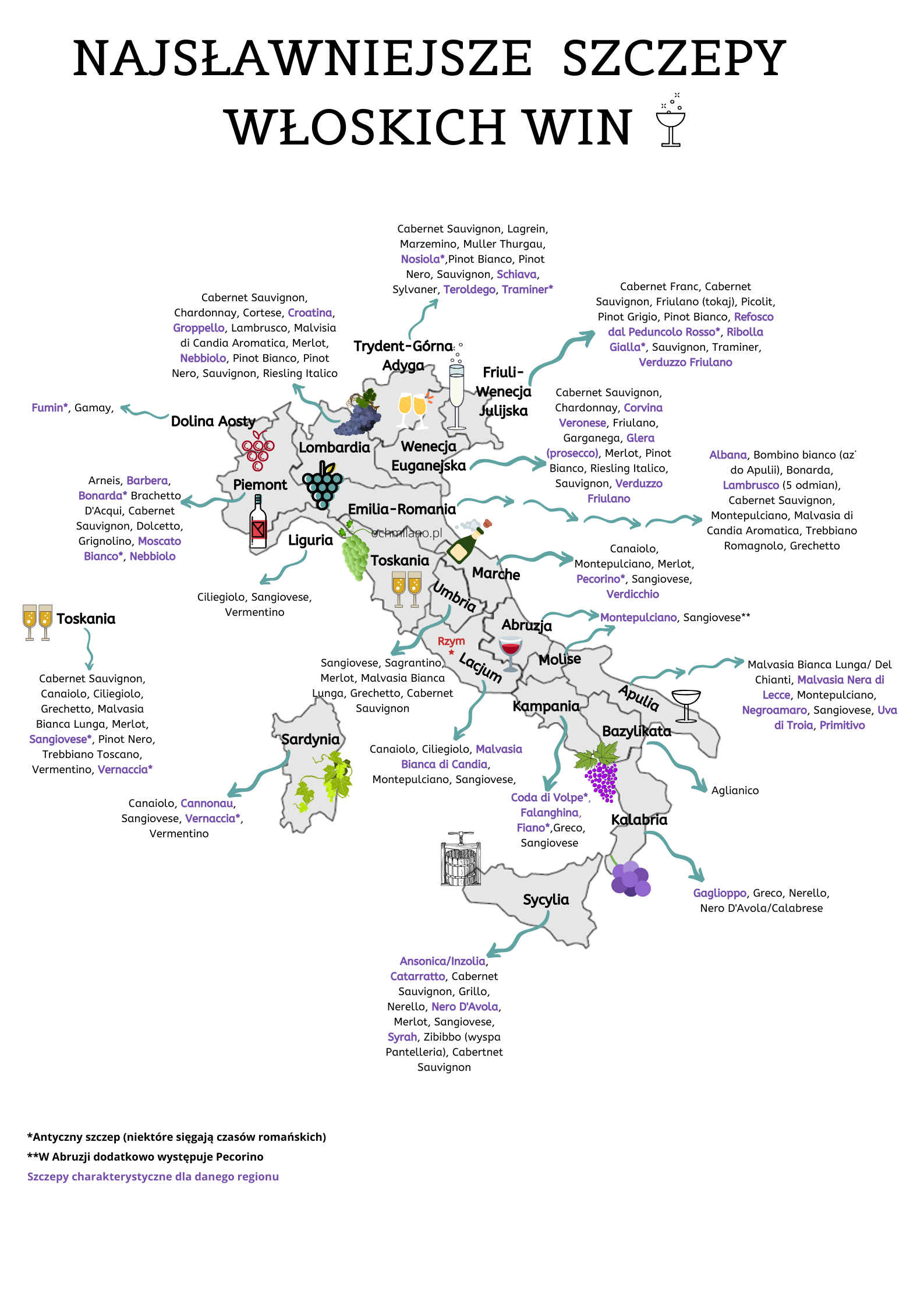 włoskie wino mapa przewodnik